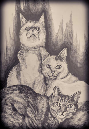 Powerful trio of cats comm Powerful trio of cats comm