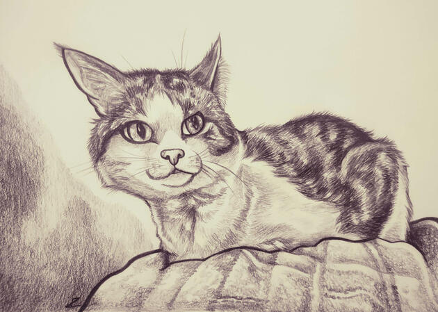 Kurt sketch comm Kurt sketch comm